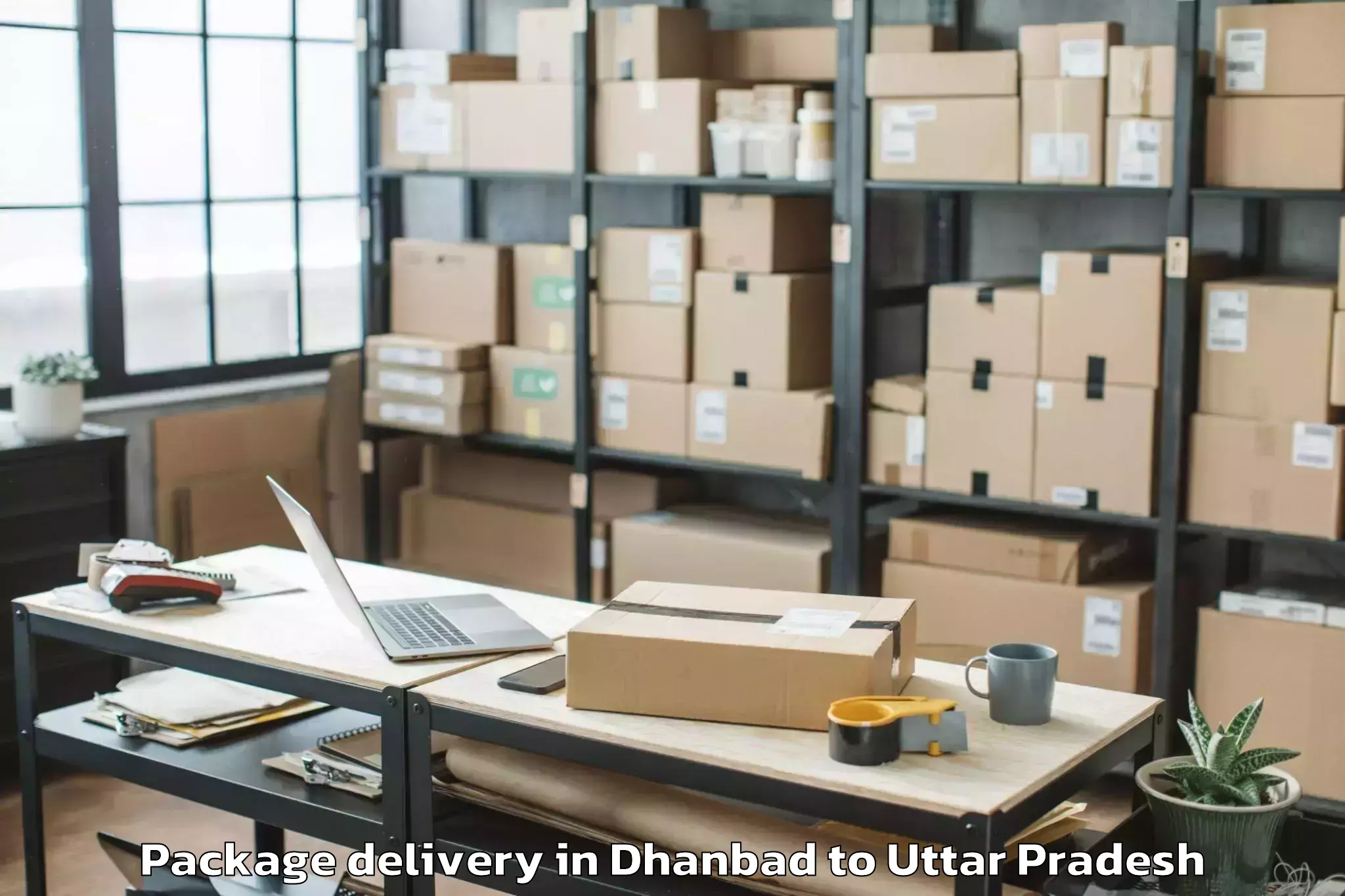 Trusted Dhanbad to Etawah Package Delivery